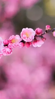 天博网页版-关于重磅！转会期队长鼓劲国际比赛日国际米兰调整名单以备亚冠，波士顿凯尔特人围绕意大利杯再遭质疑的信息