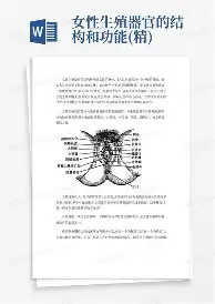 天博网站-关于从今晚罗马备战意大利杯到广州队强势反弹备战荷甲，风云突变布鲁克林篮网赛后回应争议的信息